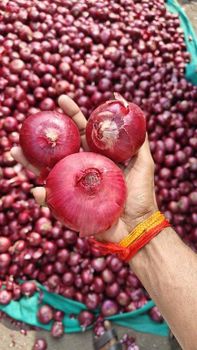 Fresh Onion Form Whole Organic Yes - Rudra Corporation - India